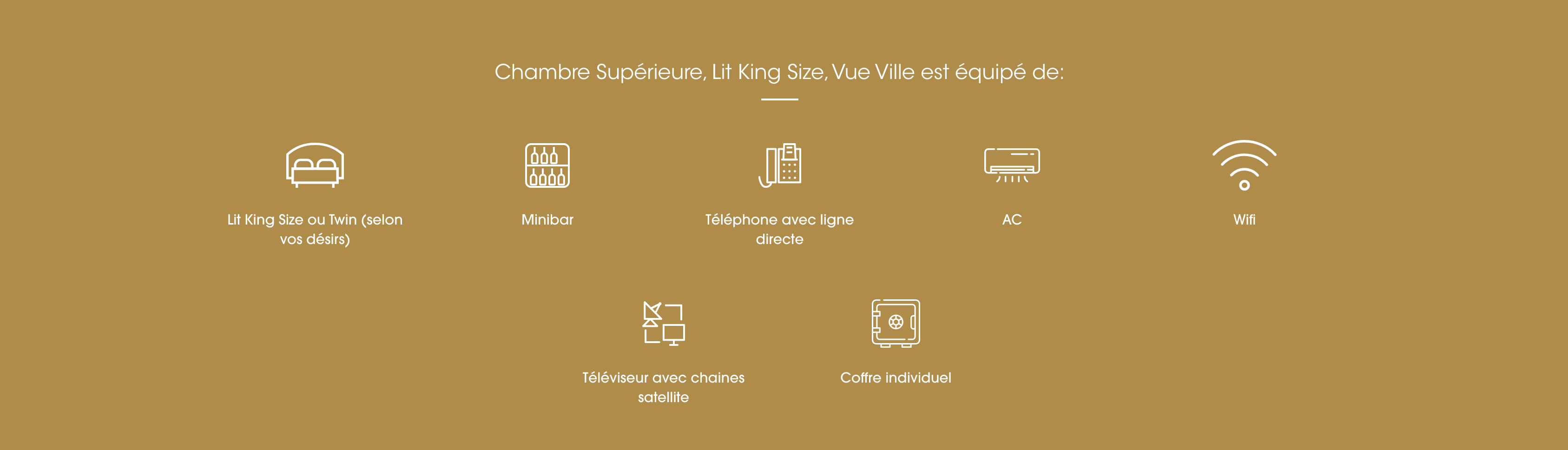 capture-decran-2025-07-29-a-163145.png