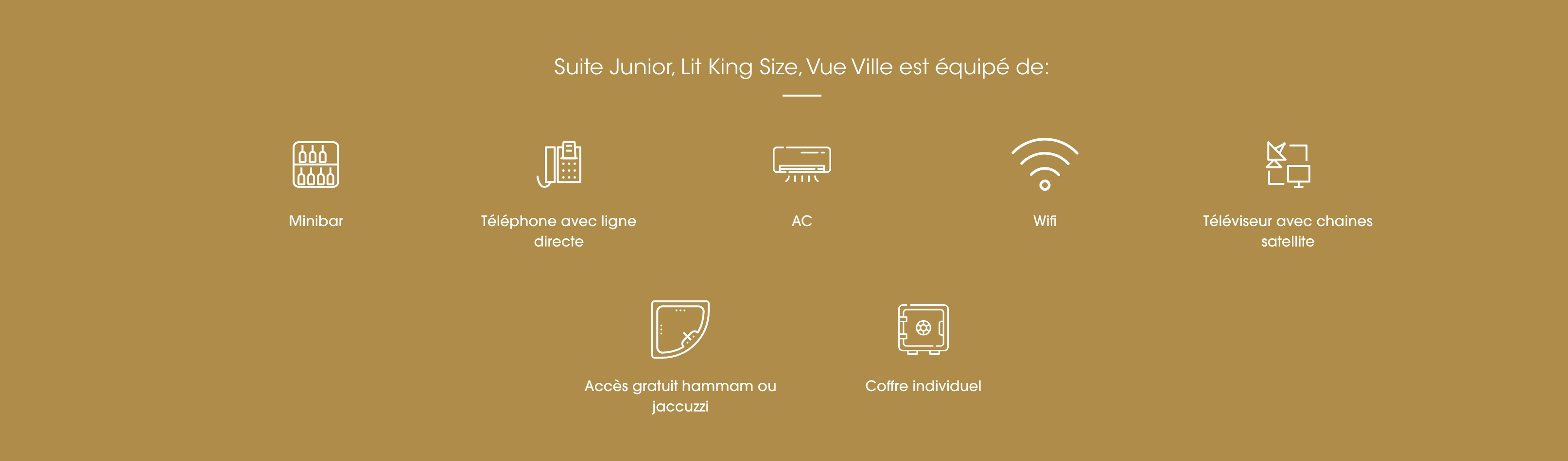 capture-decran-2025-07-29-a-165313.png